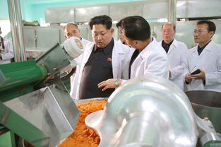 金正恩视察儿童食品厂 强调要减少进口